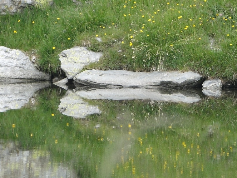 Riflettendo sul lago Avert